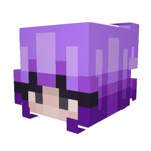 SilentEcho_ Minecraft avatar head, 3D render