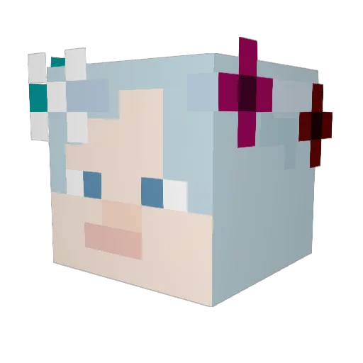 SilentFlowers21 Minecraft avatar head, 3D render