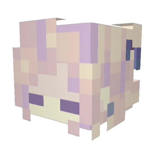 SilentForest Minecraft avatar head, 3D render