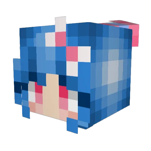 SilentJaybird Minecraft avatar head, 3D render