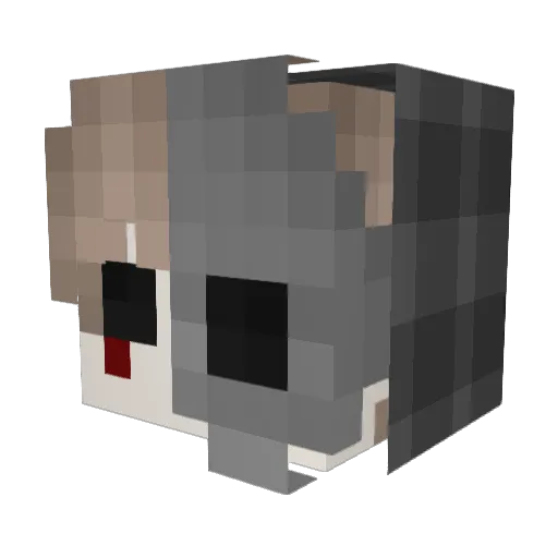 SilentJedi99 Minecraft avatar head, 3D render