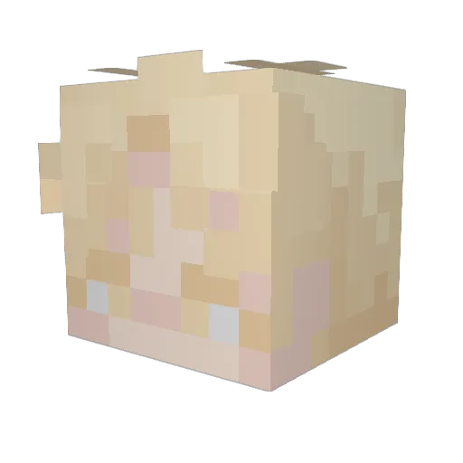 SilentLullaby Minecraft avatar head, 3D render