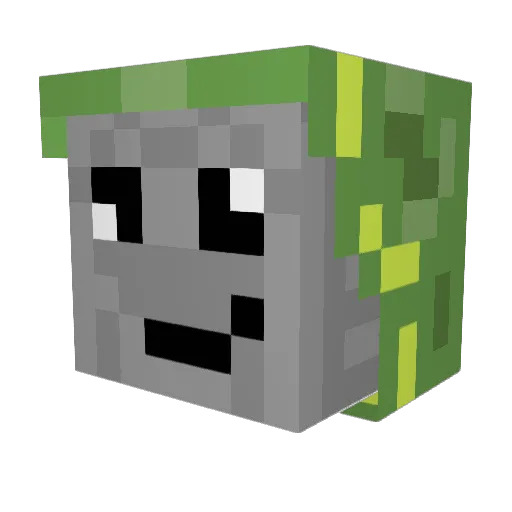 SilentMagicianWI Minecraft avatar head, 3D render
