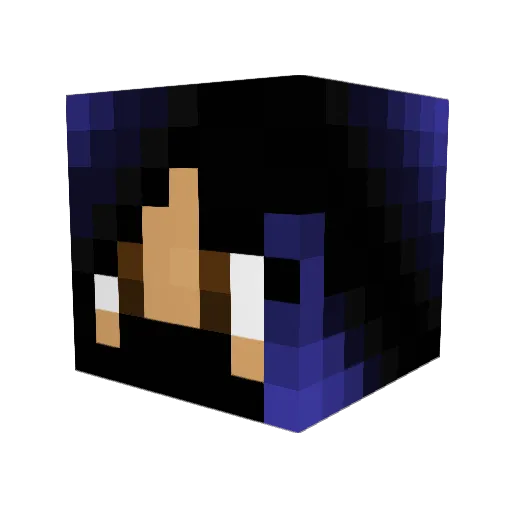 SilentNinja001 Minecraft avatar head, 3D render