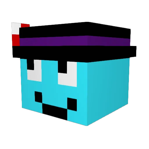 SilentNinja1486 Minecraft avatar head, 3D render