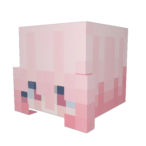 SilentRinn Minecraft avatar head, 3D render