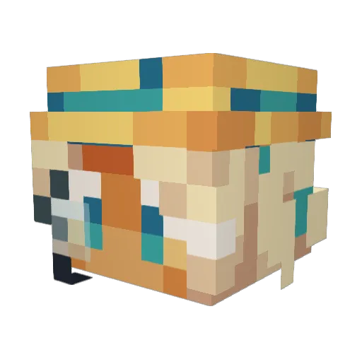 SilentSaltCookie Minecraft avatar head, 3D render