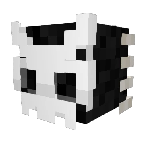 SilentSkull45 Minecraft avatar head, 3D render