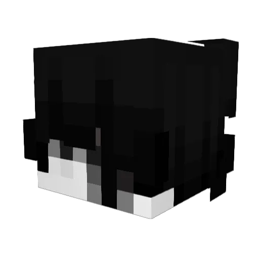 SilentSlow Minecraft avatar head, 3D render