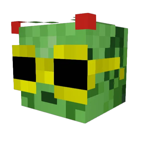 SilentToad Minecraft avatar head, 3D render
