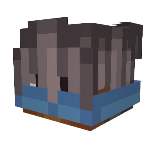 Silent_Badi Minecraft avatar head, 3D render