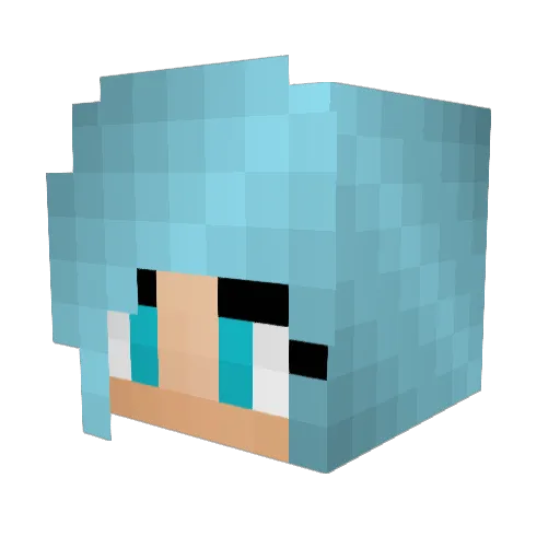 Silent_Dragon47 Minecraft avatar head, 3D render