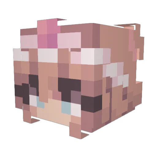 Silent_Mouse_77 Minecraft avatar head, 3D render