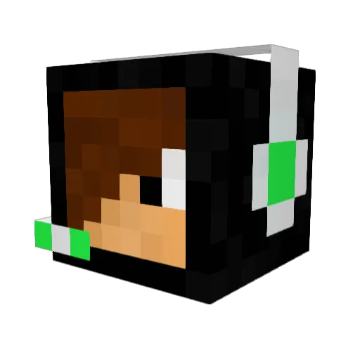 Silentassassin04 Minecraft avatar head, 3D render