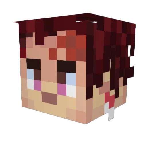 Silentnight1244 Minecraft avatar head, 3D render