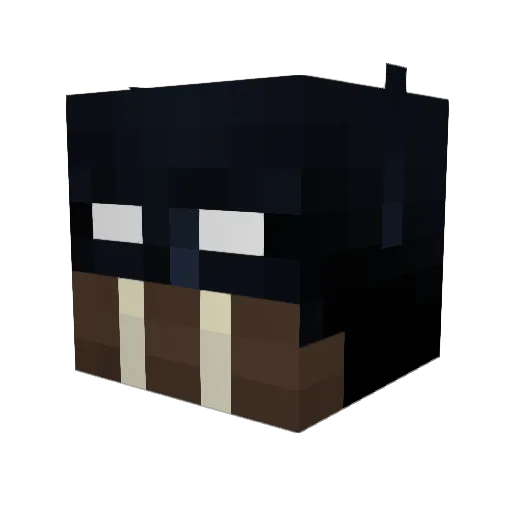 Silentwalrus753 Minecraft avatar head, 3D render