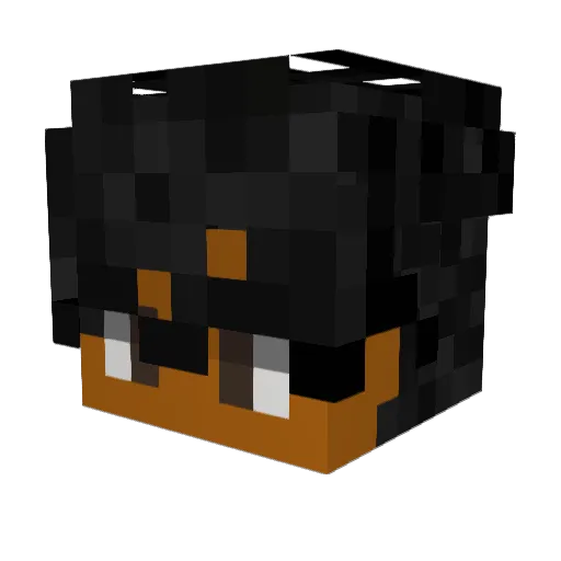 Silex_ Minecraft avatar head, 3D render