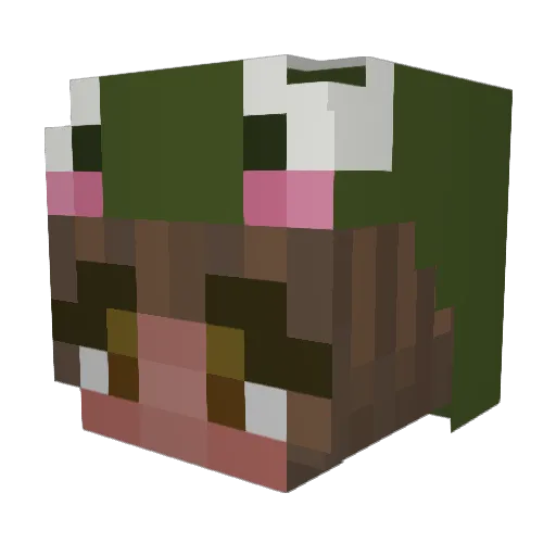 SiliKiwi Minecraft avatar head, 3D render