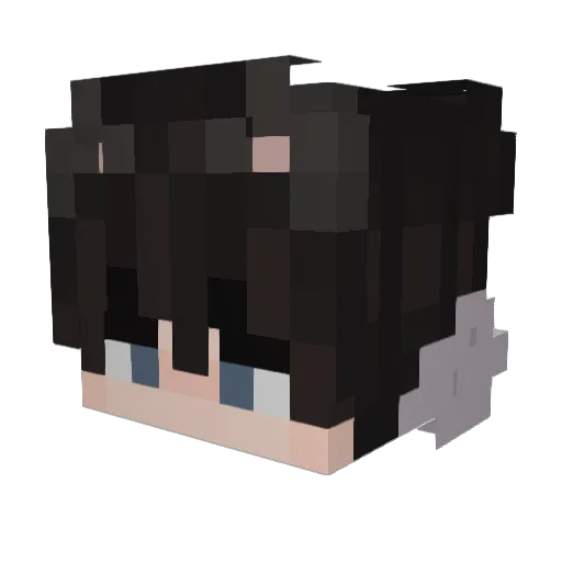 Silici0m_ Minecraft avatar head, 3D render