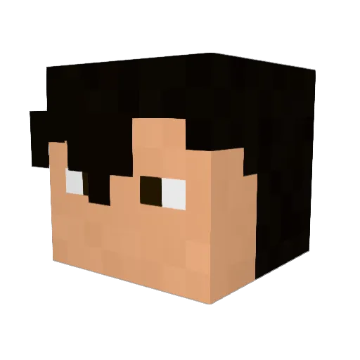 SiliconNotMetal Minecraft avatar head, 3D render