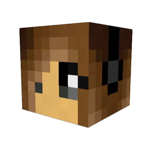 Silivipen Minecraft avatar head, 3D render