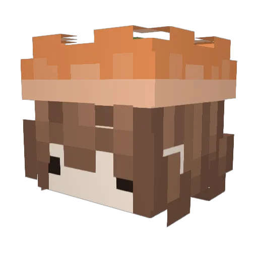 Siljek96 Minecraft avatar head, 3D render