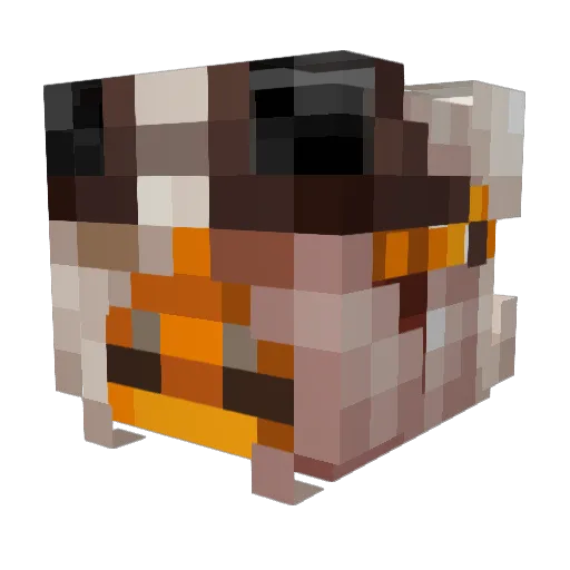 SilkedWasTaken Minecraft avatar head, 3D render