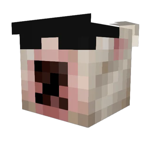 Silkerules Minecraft avatar head, 3D render