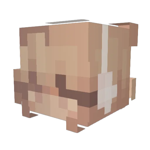 Silkevm Minecraft avatar head, 3D render