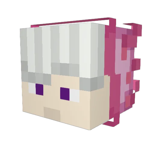 Silky18 Minecraft avatar head, 3D render