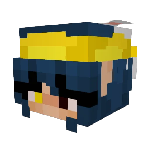 Silkzn Minecraft avatar head, 3D render