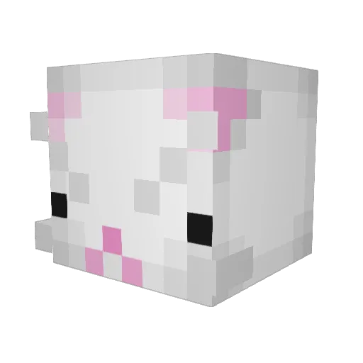 Silleeeeee Minecraft avatar head, 3D render