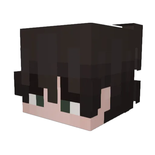 Siller22 Minecraft avatar head, 3D render
