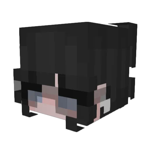SilliestKitten Minecraft avatar head, 3D render
