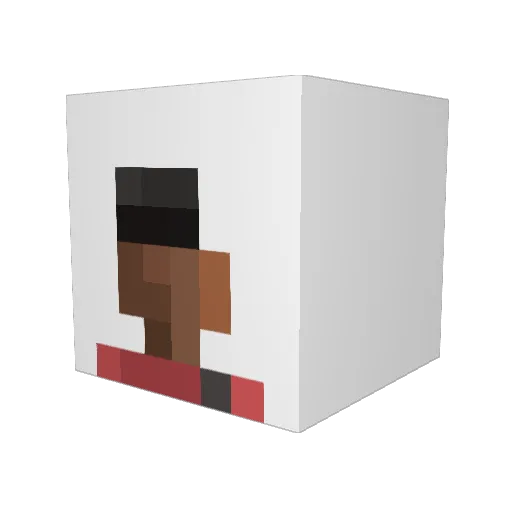 SilliestNerd Minecraft avatar head, 3D render