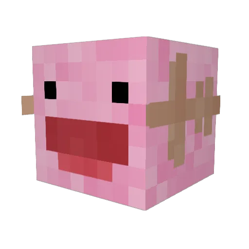 SilliestWooper Minecraft avatar head, 3D render