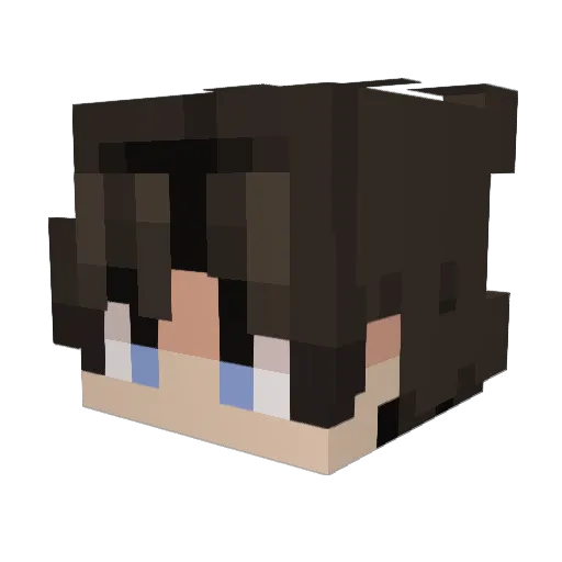 Silly0fTheGoose Minecraft avatar head, 3D render
