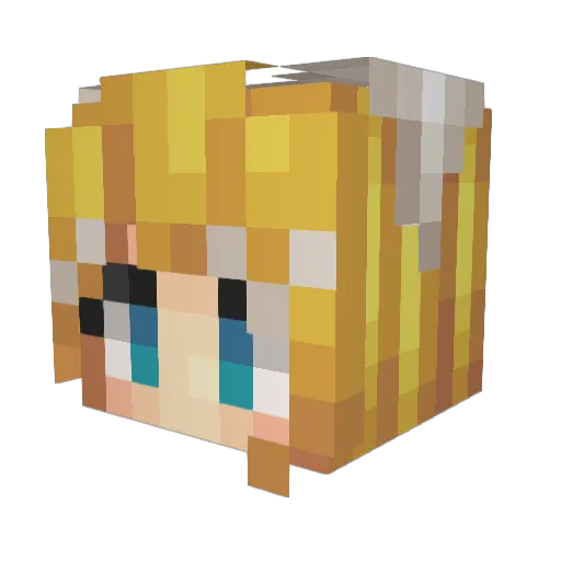Silly144 Minecraft avatar head, 3D render