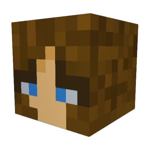 Silly312 Minecraft avatar head, 3D render