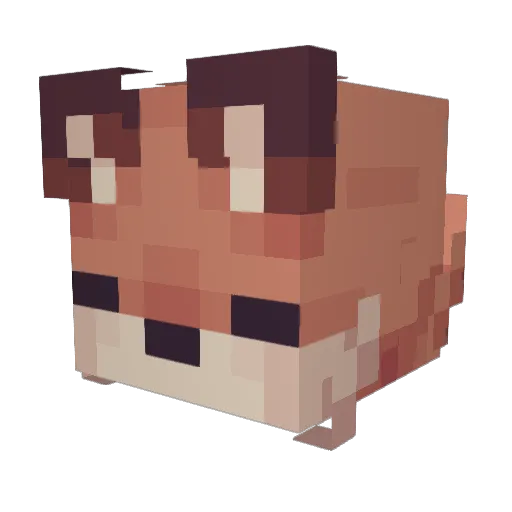 SillyBaconFox Minecraft avatar head, 3D render