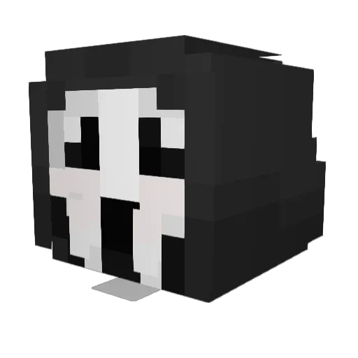 SillyBillyWilly_ Minecraft avatar head, 3D render