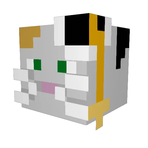 SillyBubbie Minecraft avatar head, 3D render