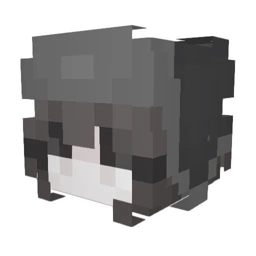 SillyBwear Minecraft avatar head, 3D render