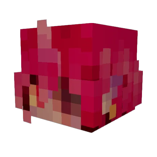SillyChameleon8 Minecraft avatar head, 3D render