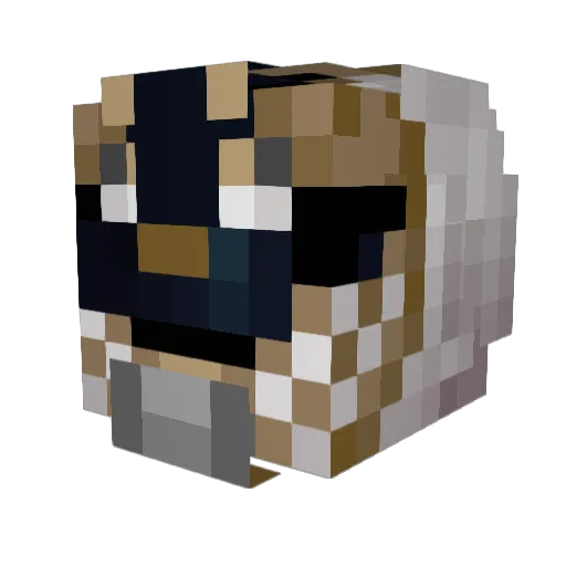 SillyDaddy69 Minecraft avatar head, 3D render
