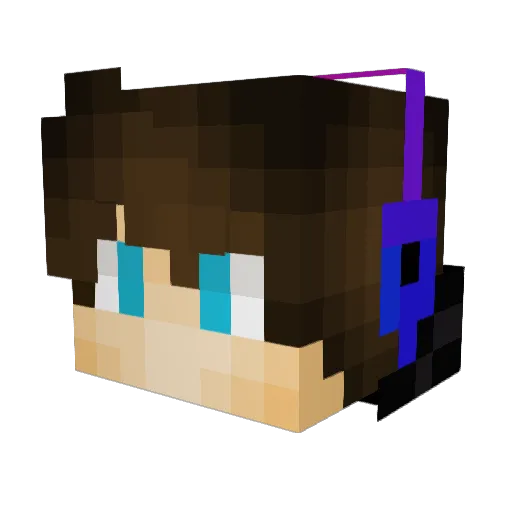 SillyDog4011 Minecraft avatar head, 3D render