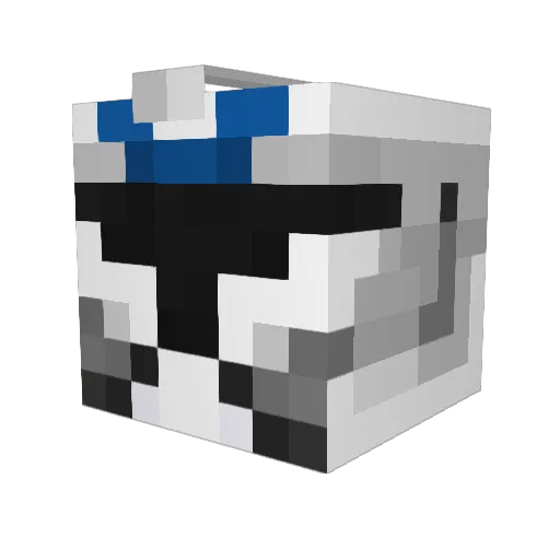 SillyDonut06 Minecraft avatar head, 3D render