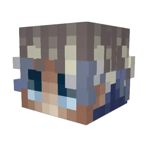 SillyDuckSoup Minecraft avatar head, 3D render