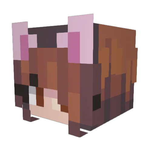 SillyEllie7 Minecraft avatar head, 3D render