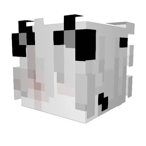 SillyFemboyTech Minecraft avatar head, 3D render